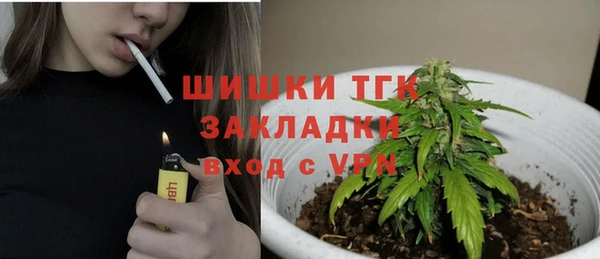 соль ск Нея