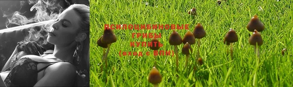 гидропоника Нефтегорск