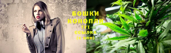 соль ск Нея