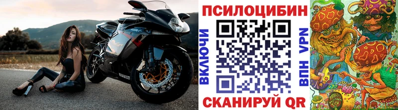 Псилоцибиновые грибы Psilocybine cubensis  наркотики  Владикавказ 