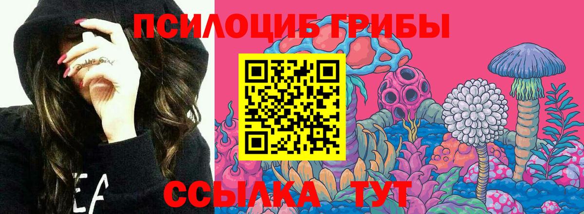 Владикавказ  Галлюциногенные грибы мухоморы  Галлюциногенные грибы Cubensis  Вход с VPN 