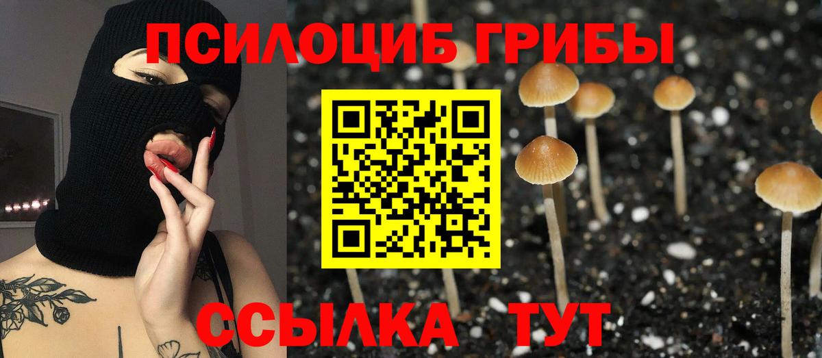 Псилоцибиновые грибы Magic Shrooms Владикавказ