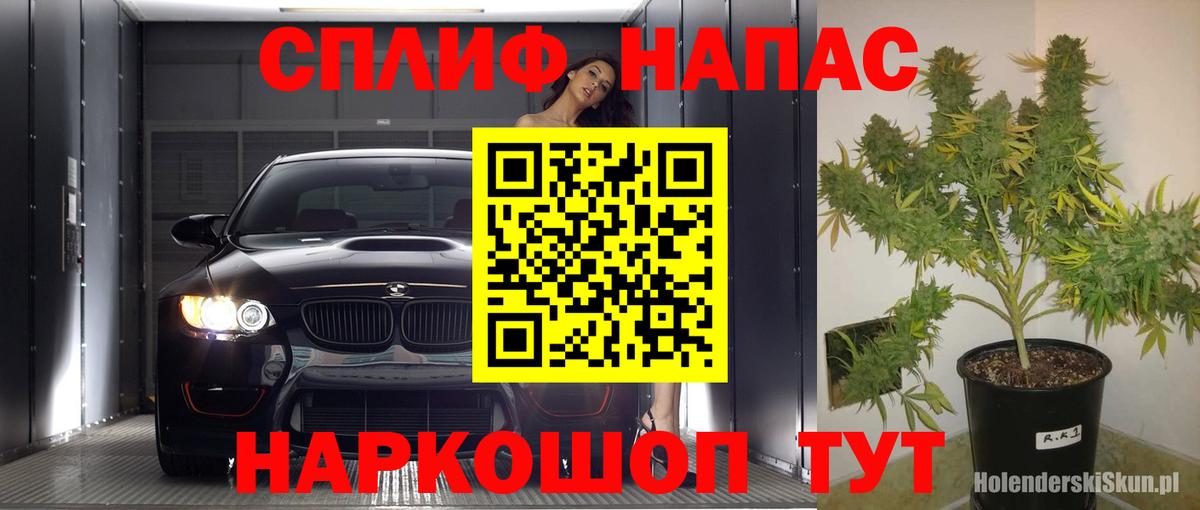 Конопля OG Kush  Канабис планчик  Бошки Шишки Amnesia  Владикавказ  Марихуана ГИДРОПОН 